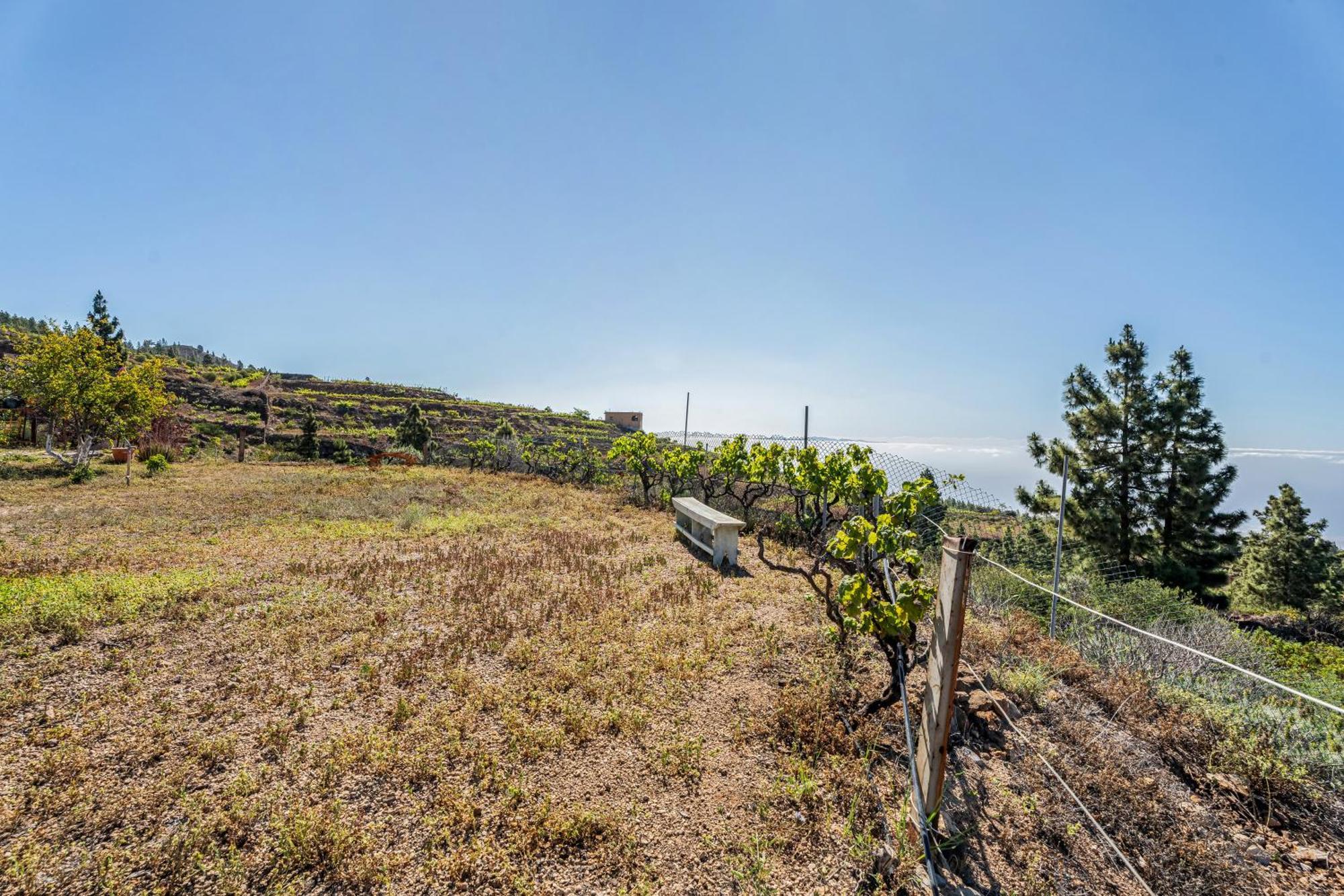 Villa Land Of Dreams Vilaflor Exterior foto